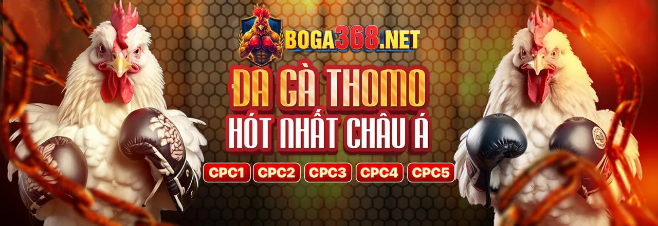 Đá gà trực tuyến 66bet Login